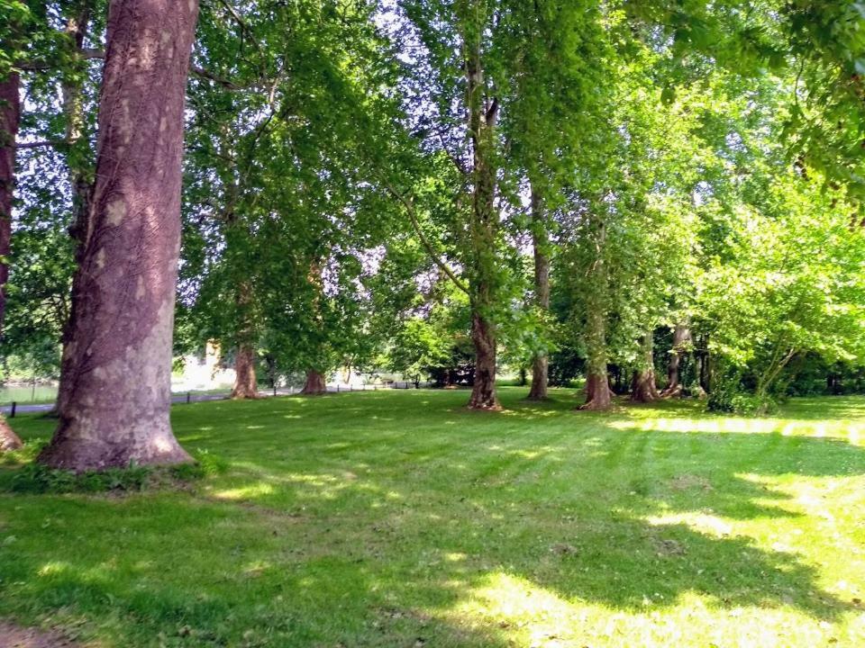 לינה וארוחת בוקר Bourg-Charente Le Domaine Des Platanes מראה חיצוני תמונה